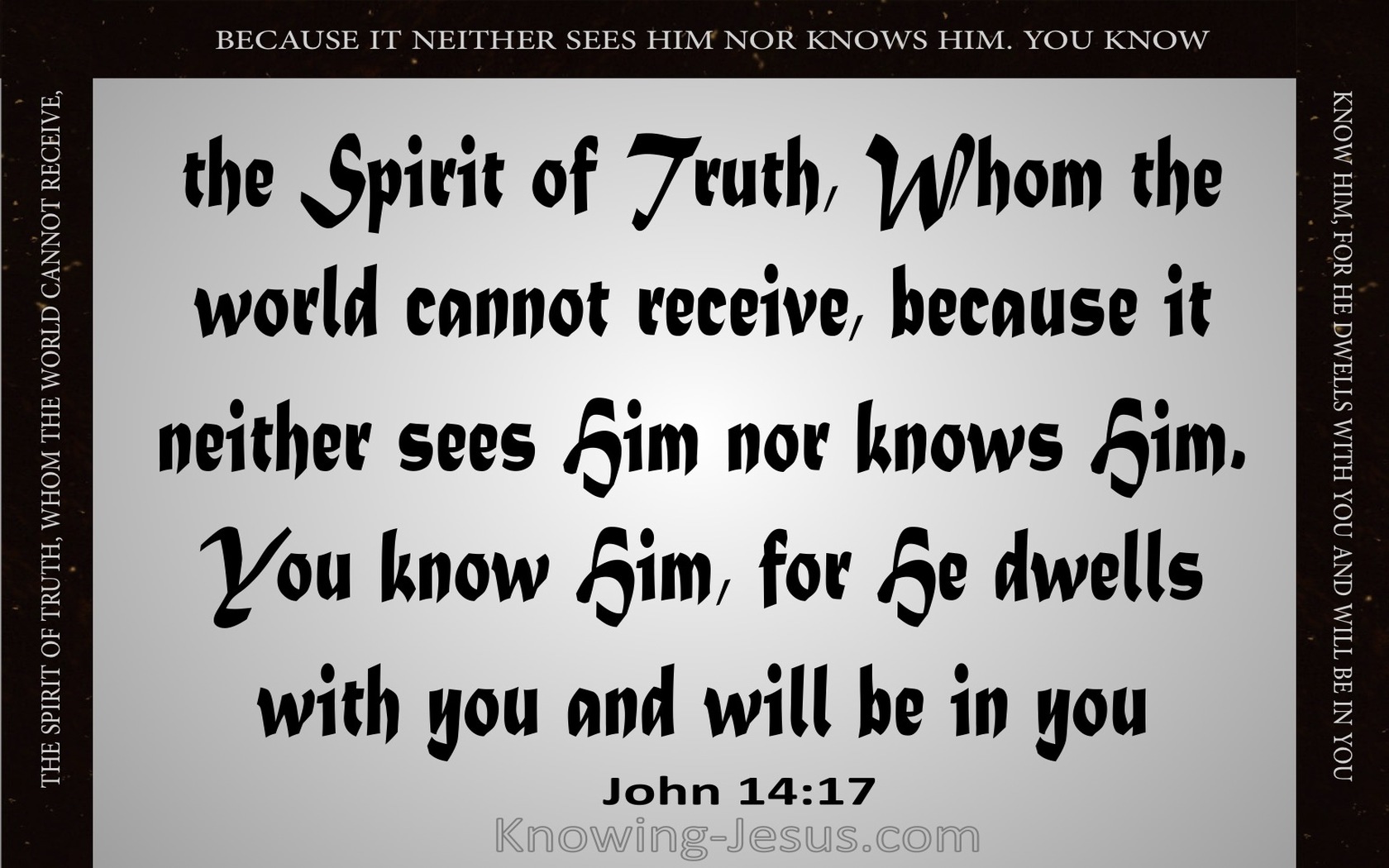 John 14:17 He Will Be In You (gray)